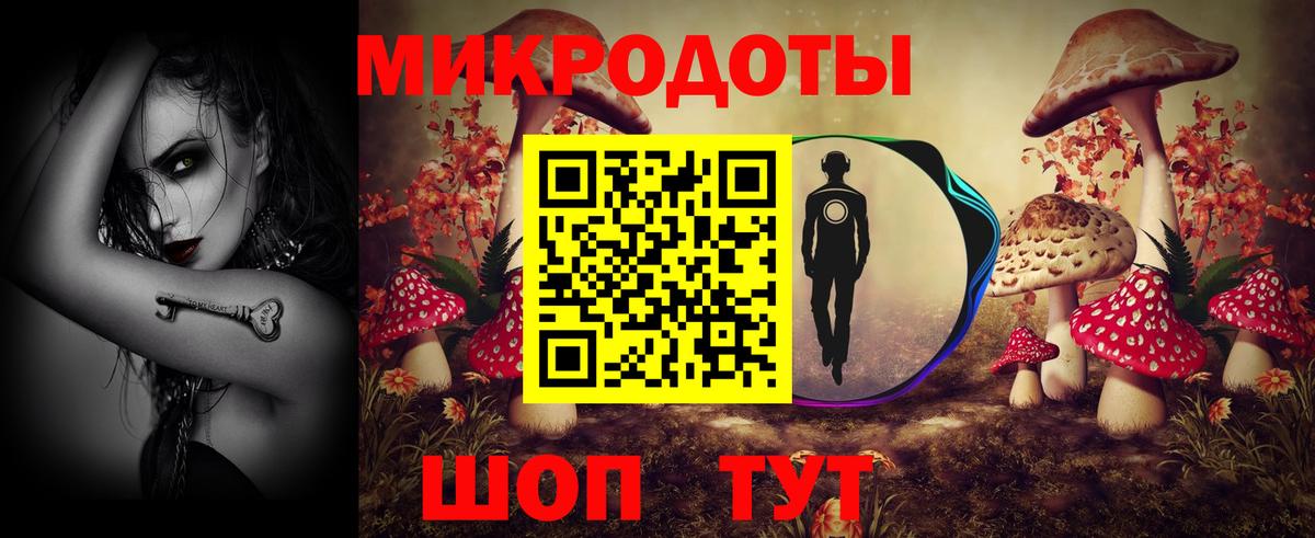 Ачхой-Мартан  Галлюциногенные грибы мицелий  Вход с VPN 